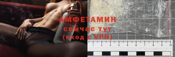твердый Мегион