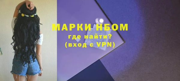 твердый Мегион