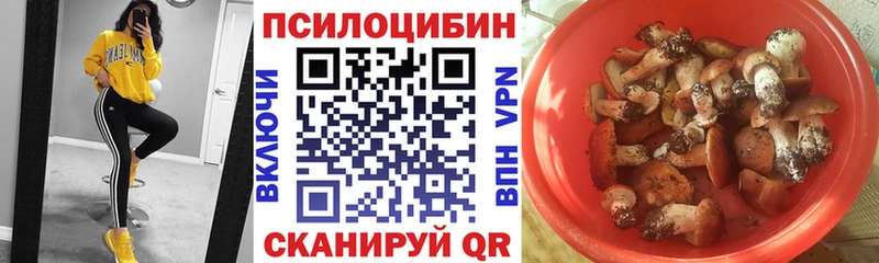 Псилоцибиновые грибы Psilocybine cubensis Лагань